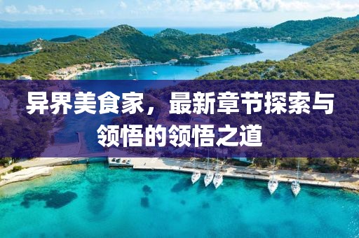异界美食家，最新章节探索与领悟的领悟之道