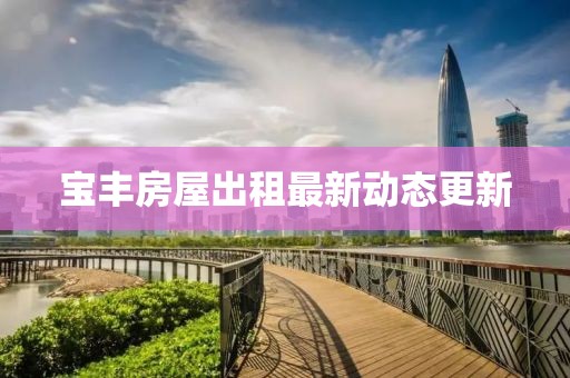 宝丰房屋出租最新动态更新