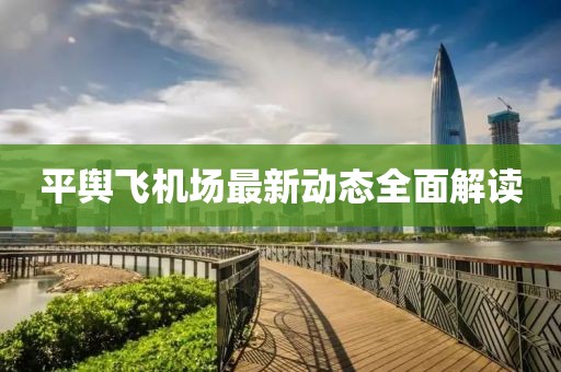 平舆飞机场最新动态全面解读