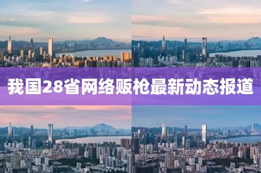 我国28省网络贩枪最新动态报道