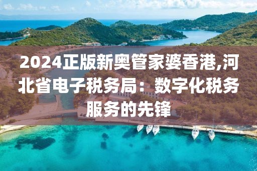 2024正版新奥管家婆香港,河北省电子税务局：数字化税务服务的先锋