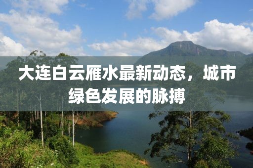 大连白云雁水最新动态，城市绿色发展的脉搏