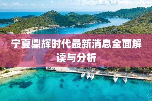 宁夏鼎辉时代最新消息全面解读与分析