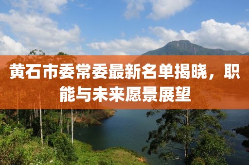 黄石市委常委最新名单揭晓，职能与未来愿景展望