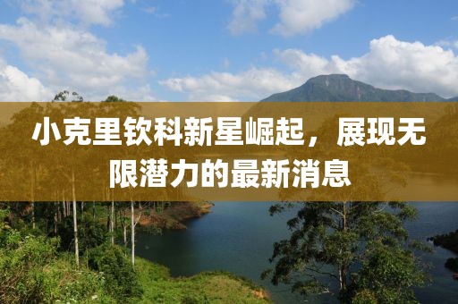 小克里钦科新星崛起，展现无限潜力的最新消息