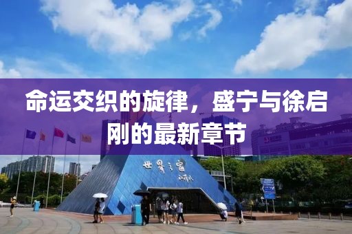 命运交织的旋律，盛宁与徐启刚的最新章节