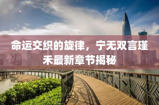 命运交织的旋律，宁无双言瑾禾最新章节揭秘