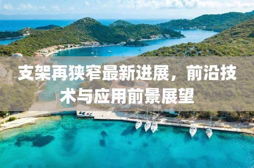 支架再狭窄最新进展，前沿技术与应用前景展望