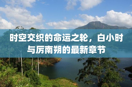 时空交织的命运之轮，白小时与厉南朔的最新章节