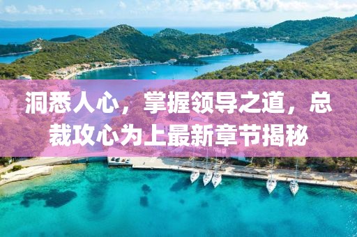 洞悉人心，掌握领导之道，总裁攻心为上最新章节揭秘