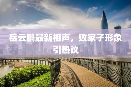 岳云鹏最新相声，败家子形象引热议