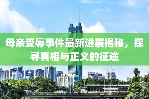 母亲受辱事件最新进展揭秘，探寻真相与正义的征途