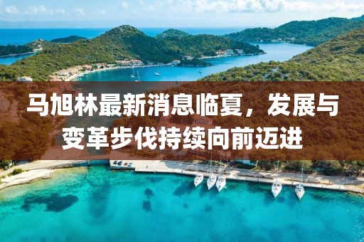 马旭林最新消息临夏，发展与变革步伐持续向前迈进