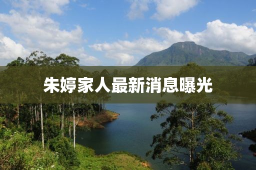 朱婷家人最新消息曝光