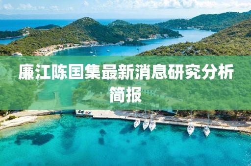 廉江陈国集最新消息研究分析简报