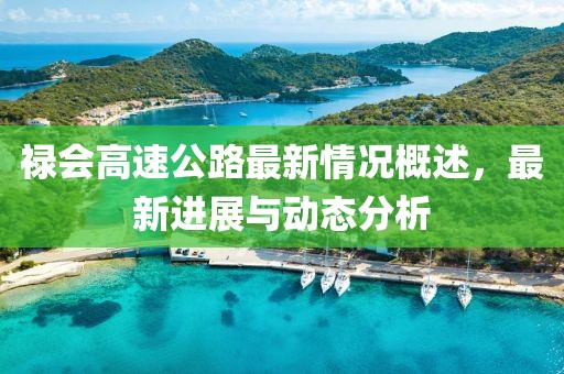 禄会高速公路最新情况概述，最新进展与动态分析