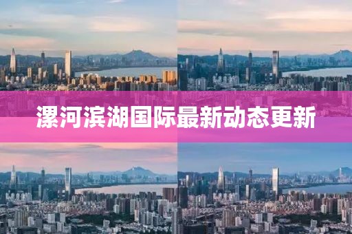 漯河滨湖国际最新动态更新