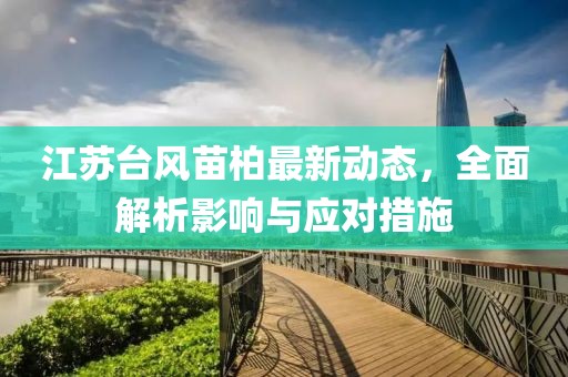 江苏台风苗柏最新动态，全面解析影响与应对措施