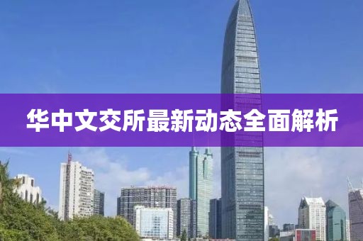 华中文交所最新动态全面解析