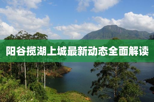 阳谷揽湖上城最新动态全面解读