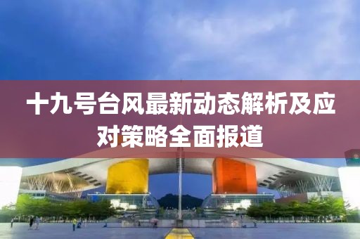 十九号台风最新动态解析及应对策略全面报道
