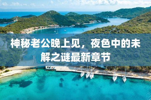 神秘老公晚上见，夜色中的未解之谜最新章节