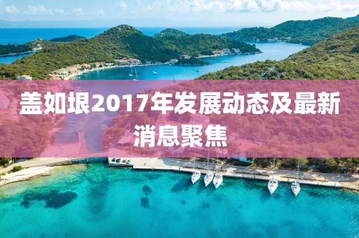 盖如垠2017年发展动态及最新消息聚焦