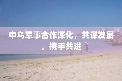 中乌军事合作深化，共谋发展，携手共进