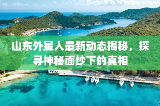 山东外星人最新动态揭秘，探寻神秘面纱下的真相