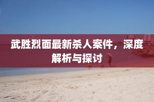 武胜烈面最新杀人案件，深度解析与探讨