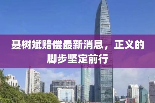 聂树斌赔偿最新消息，正义的脚步坚定前行
