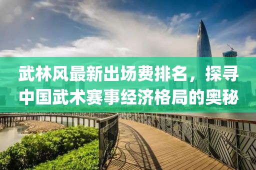 武林风最新出场费排名，探寻中国武术赛事经济格局的奥秘