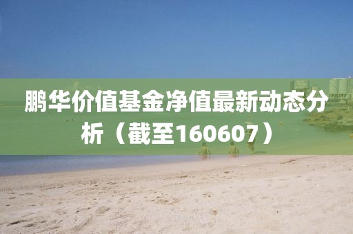鹏华价值基金净值最新动态分析（截至160607）