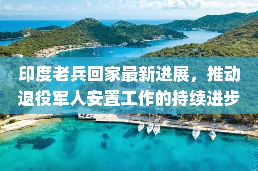 印度老兵回家最新进展，推动退役军人安置工作的持续进步