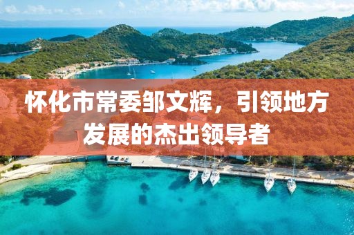 怀化市常委邹文辉，引领地方发展的杰出领导者