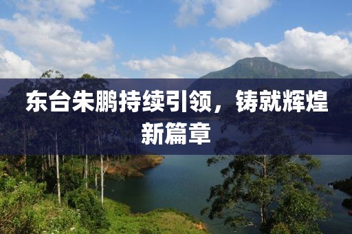 东台朱鹏持续引领，铸就辉煌新篇章