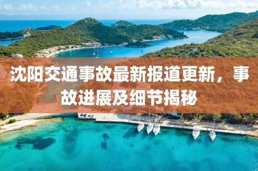 沈阳交通事故最新报道更新，事故进展及细节揭秘