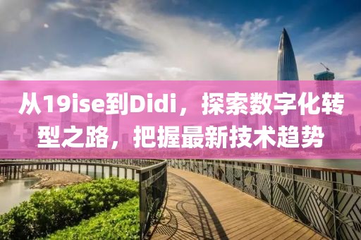 从19ise到Didi，探索数字化转型之路，把握最新技术趋势