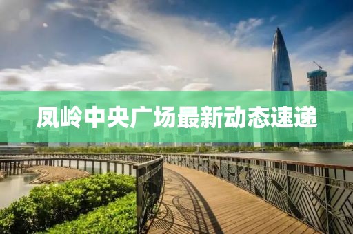 凤岭中央广场最新动态速递