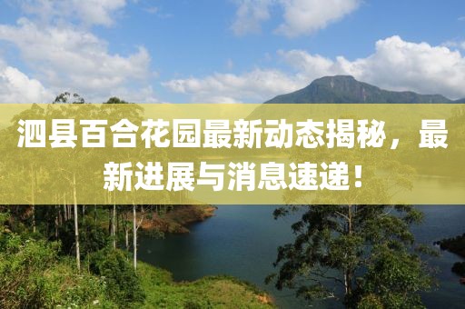 泗县百合花园最新动态揭秘，最新进展与消息速递！