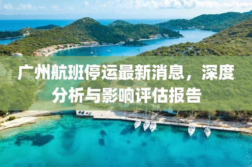 广州航班停运最新消息，深度分析与影响评估报告