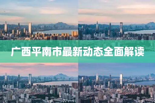 广西平南市最新动态全面解读