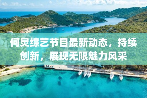 何炅综艺节目最新动态，持续创新，展现无限魅力风采