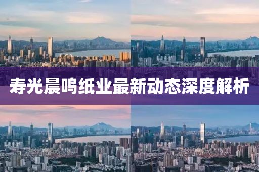 寿光晨鸣纸业最新动态深度解析