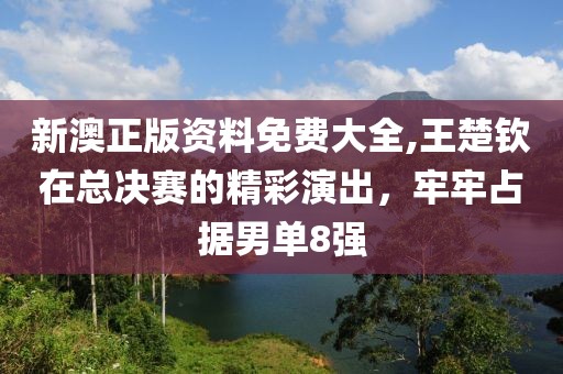 新澳正版资料免费大全,王楚钦在总决赛的精彩演出，牢牢占据男单8强