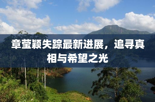 章莹颖失踪最新进展，追寻真相与希望之光