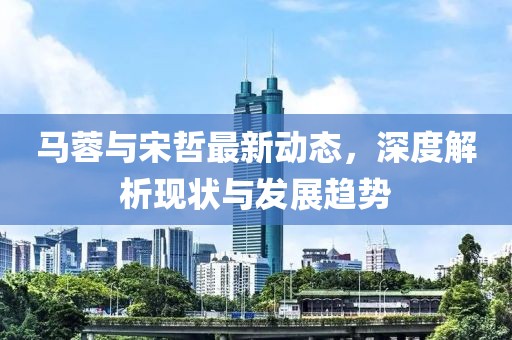 马蓉与宋哲最新动态，深度解析现状与发展趋势