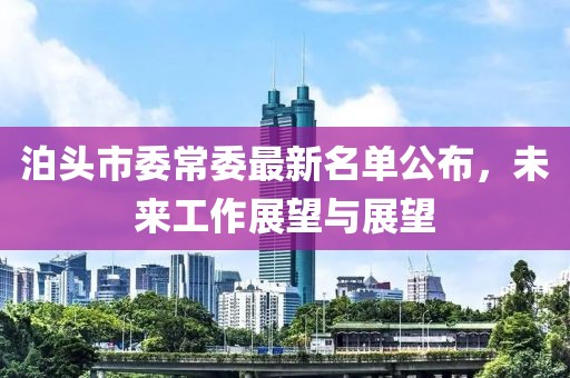 泊头市委常委最新名单公布，未来工作展望与展望