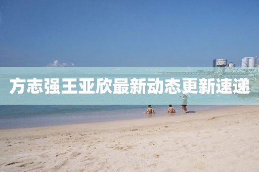 方志强王亚欣最新动态更新速递