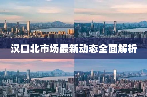 汉口北市场最新动态全面解析